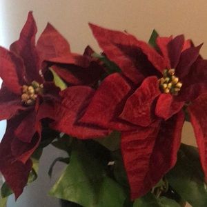 Meet your Posher, Shawne